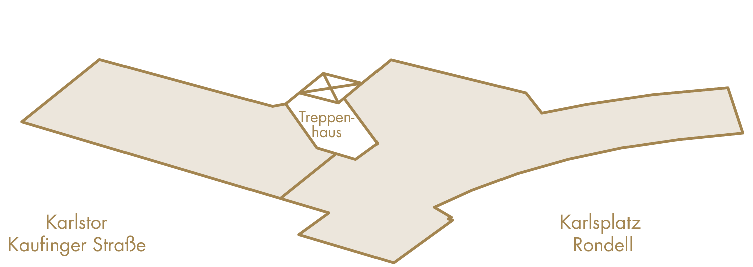 dg01